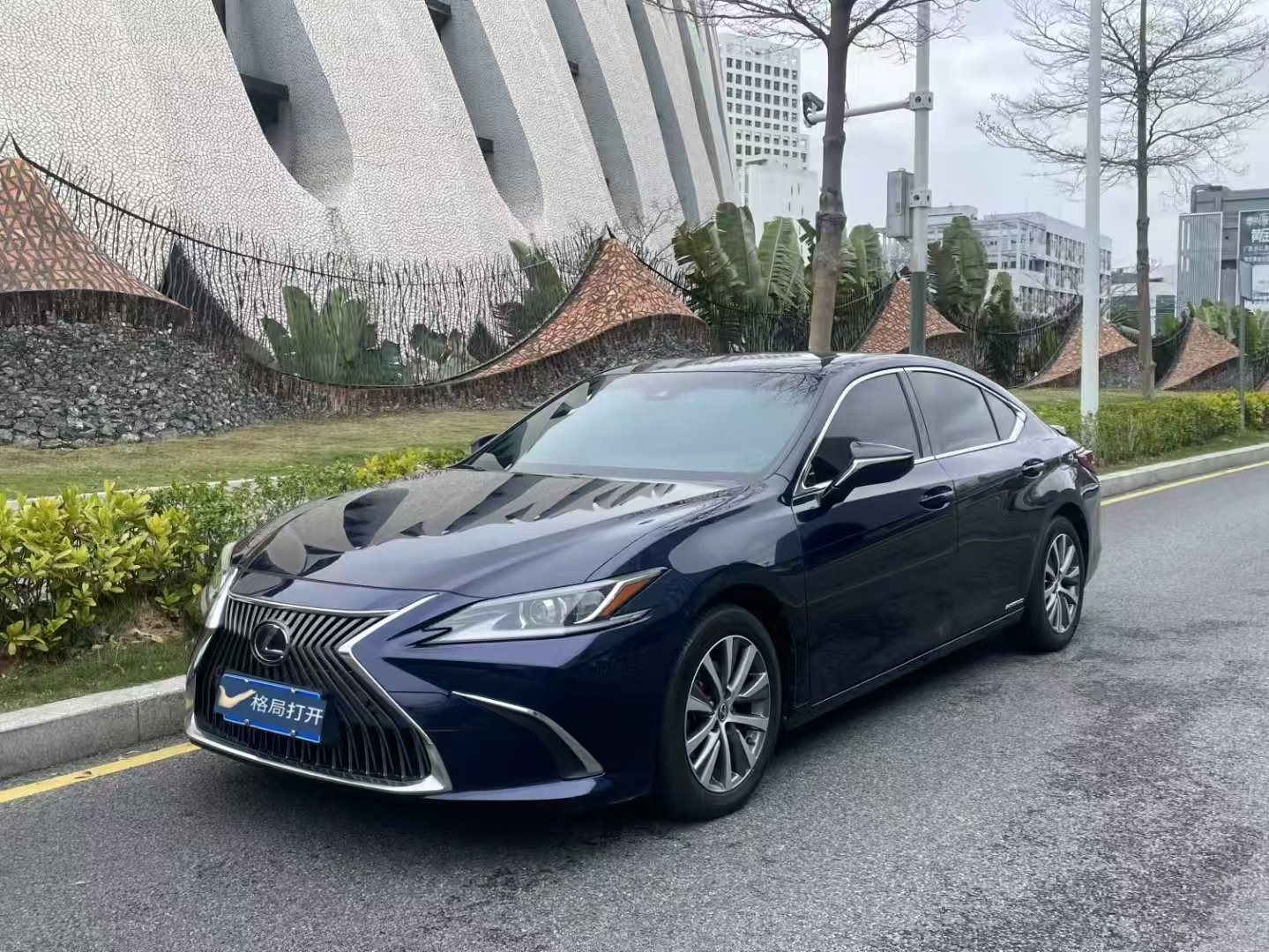 雷克萨斯ES 2020款 300h 卓越版