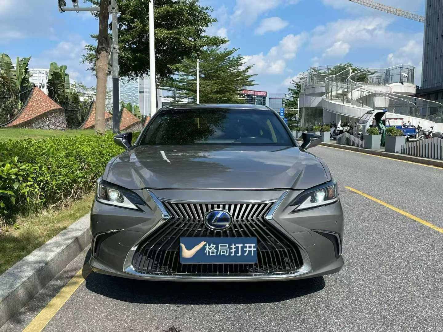 雷克萨斯ES 2020款 300h 卓越版