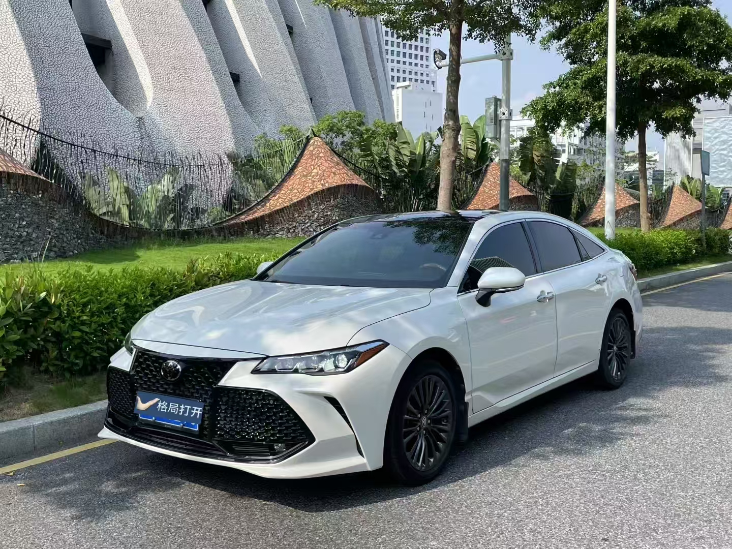 亚洲龙 2019款 2.5L Touring尊贵版 国VI