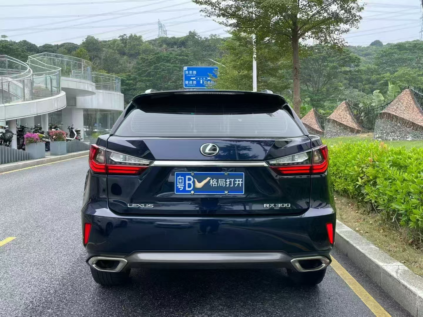 雷克萨斯RX 2016款 300 两驱舒适版 国VI