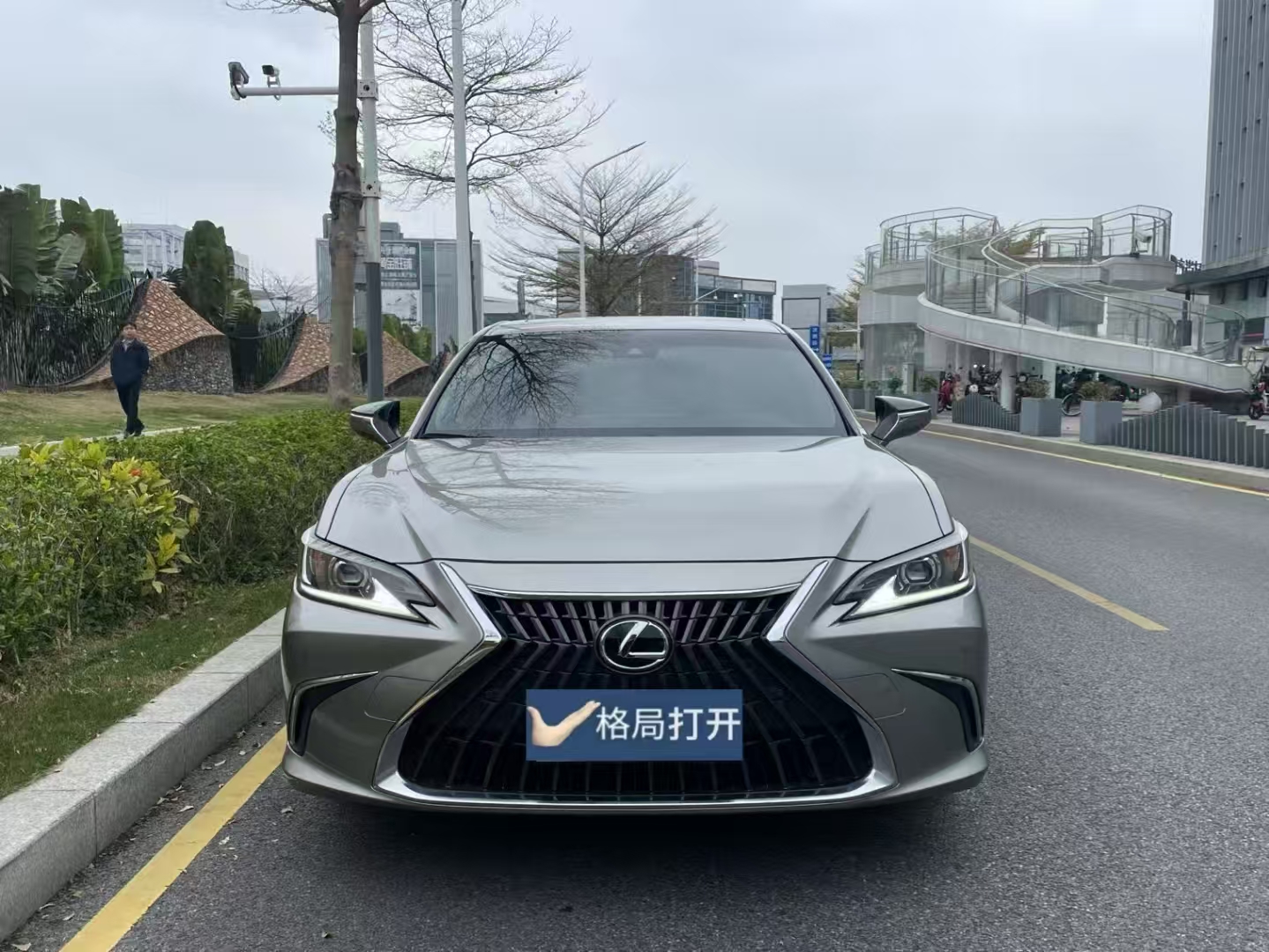 雷克萨斯ES 2022款 300h 卓越版