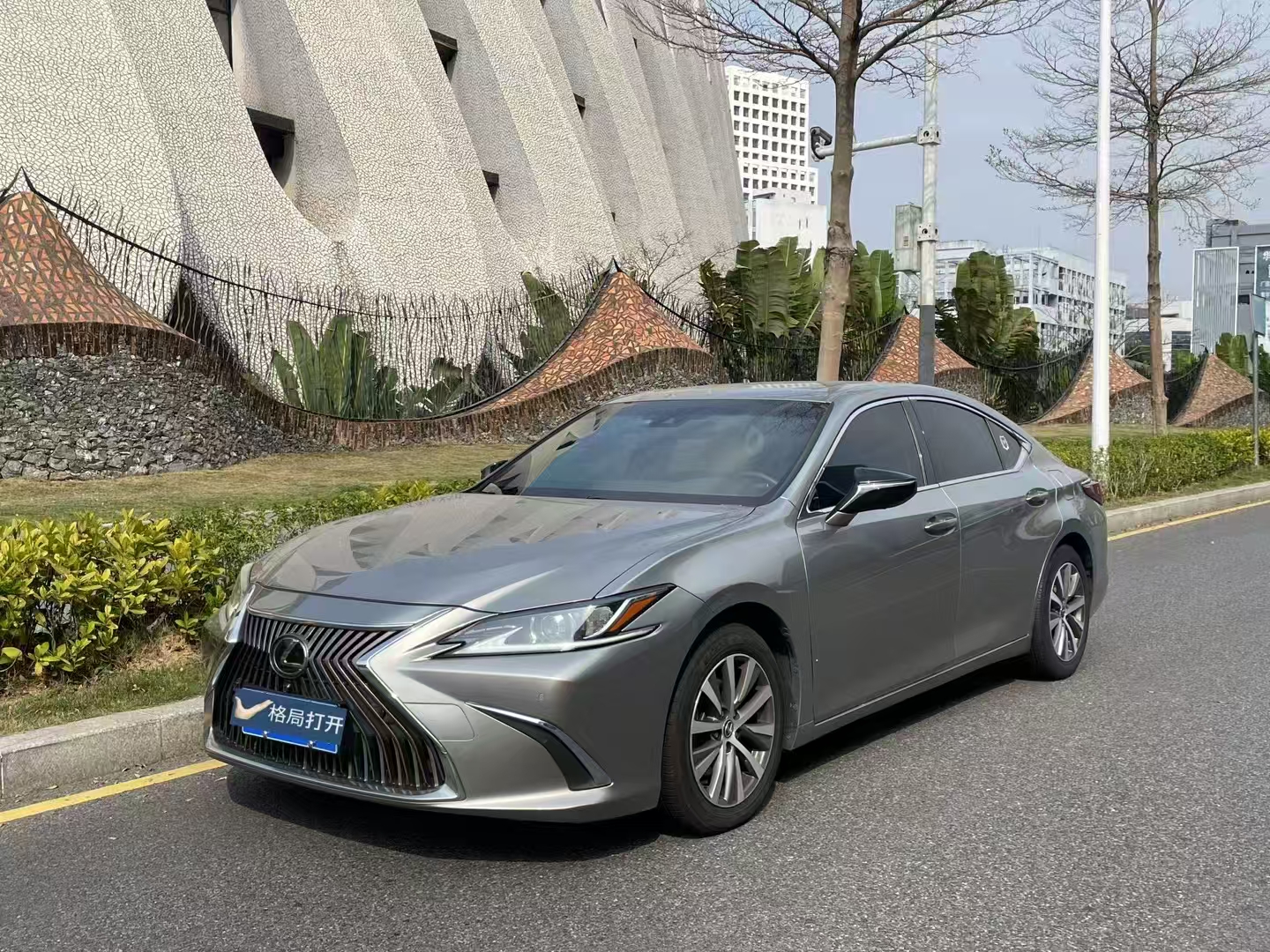 雷克萨斯ES 2020款 200 卓越版