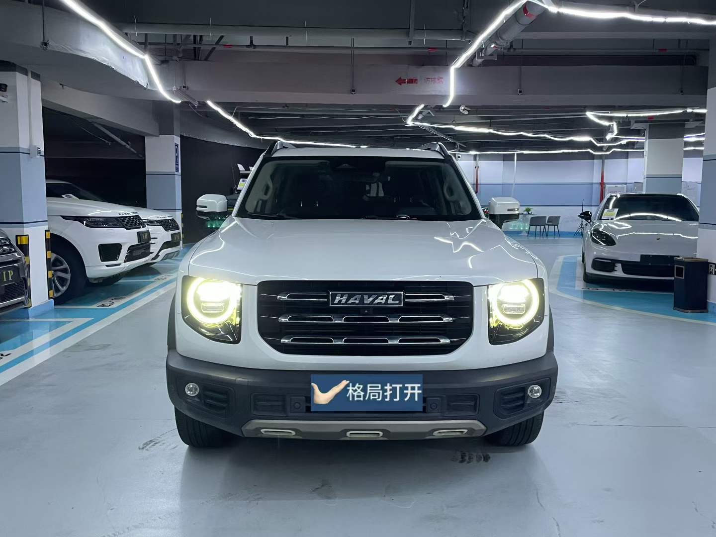 哈弗大狗 2021款 1.5T DCT两驱边牧-旺财版