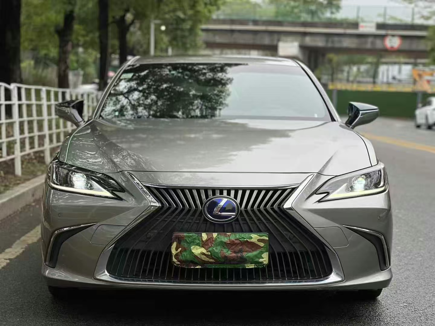 雷克萨斯ES 2020款 300h 卓越版