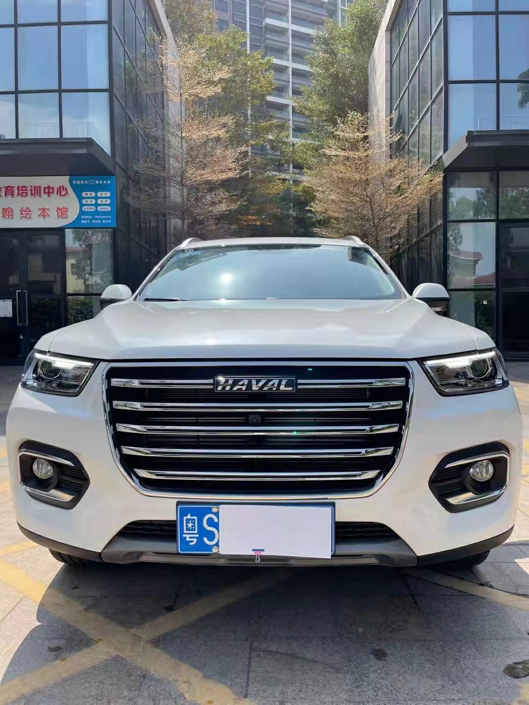 哈弗h6 2020款 1.5gdit 自动铂金冠军版