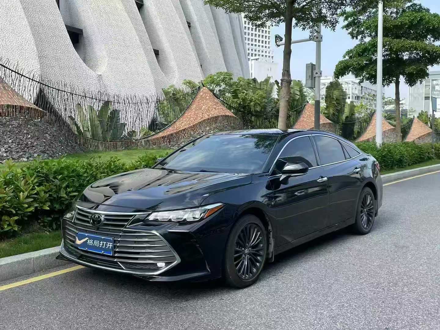 亚洲龙 2019款 2.5L Touring尊贵版 国VI