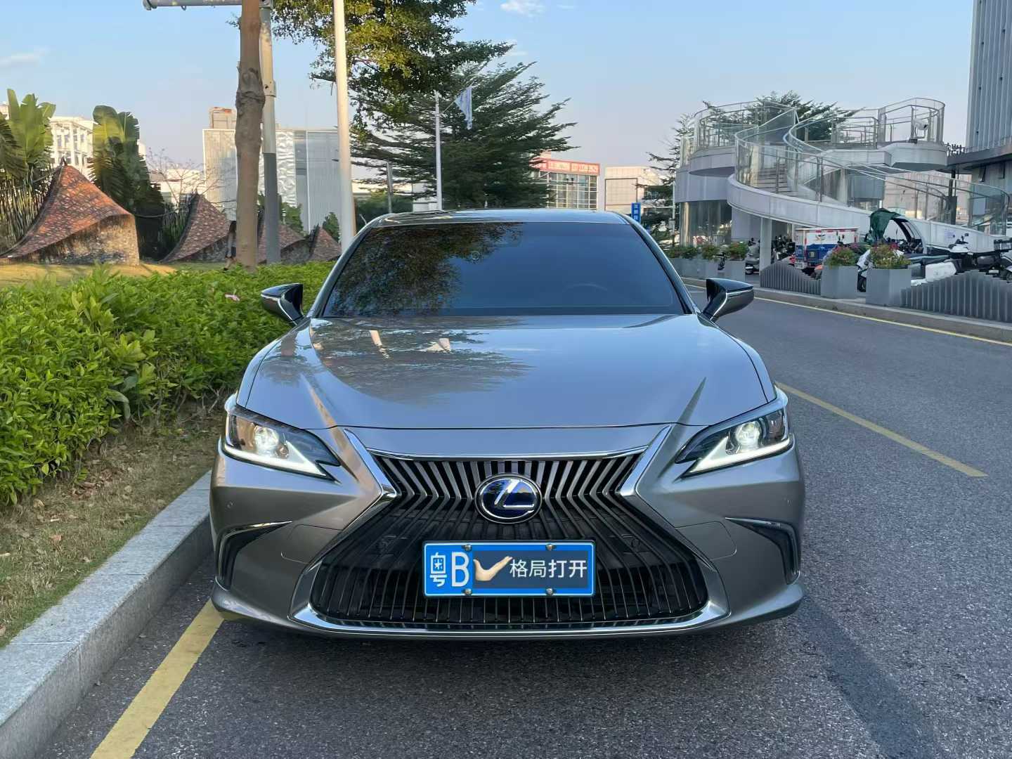 雷克萨斯ES 2020款 300h 卓越版